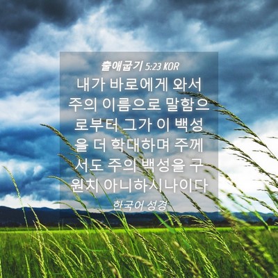 Picture 04 - 출애굽기 5:23 KOR - 내가 바로에게 와서 주의 이름으로 - Bible Verse Picture