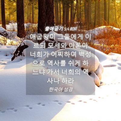 Picture 04 - 출애굽기 5:4 KOR - 애굽왕이 그들에게 이르되 모세와 - Bible Verse Picture