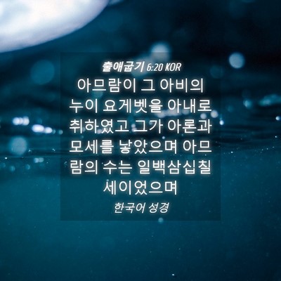 Picture 04 - 출애굽기 6:20 KOR - 아므람이 그 아비의 누이 요게벳을 - Bible Verse Picture