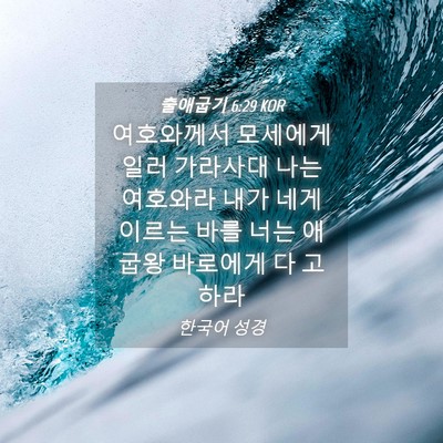 Picture 04 - 출애굽기 6:29 KOR - 여호와께서 모세에게 일러 가라사대 - Bible Verse Picture