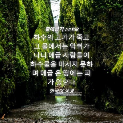 Picture 04 - 출애굽기 7:21 KOR - 하수의 고기가 죽고 그 물에서는 - Bible Verse Picture
