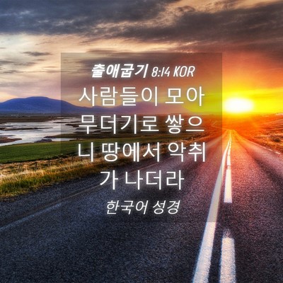 Picture 04 - 출애굽기 8:14 KOR - 사람들이 모아 무더기로 쌓으니 - Bible Verse Picture