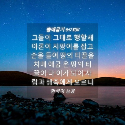 Picture 04 - 출애굽기 8:17 KOR - 그들이 그대로 행할새 아론이 - Bible Verse Picture