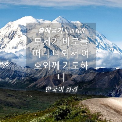 Picture 04 - 출애굽기 8:30 KOR - 모세가 바로를 떠나 나와서 여호와께 - Bible Verse Picture