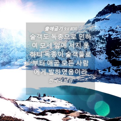 Picture 04 - 출애굽기 9:11 KOR - 술객도 독종으로 인하여 모세 앞에 - Bible Verse Picture