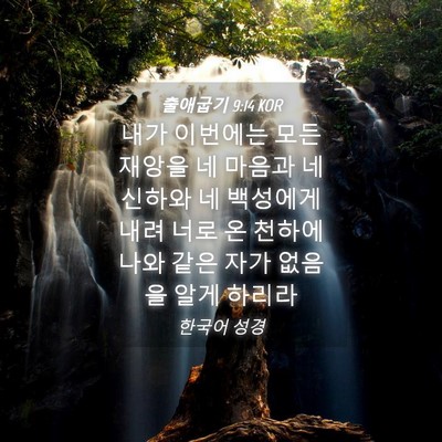 Picture 04 - 출애굽기 9:14 KOR - 내가 이번에는 모든 재앙을 네 - Bible Verse Picture