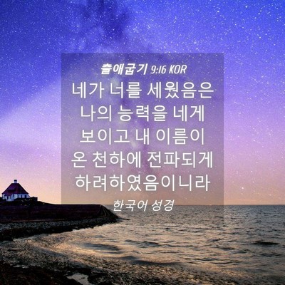Picture 04 - 출애굽기 9:16 KOR - 네가 너를 세웠음은 나의 능력을 - Bible Verse Picture
