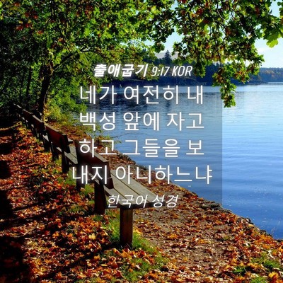 Picture 04 - 출애굽기 9:17 KOR - 네가 여전히 내 백성 앞에 자고하고 - Bible Verse Picture