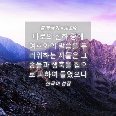Picture 04 - 출애굽기 9:20 KOR - 바로의 신하 중에 여호와의 말씀을 - Bible Verse Picture