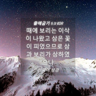 Picture 04 - 출애굽기 9:31 KOR - 때에 보리는 이삭이 나왔고 삼은 - Bible Verse Picture