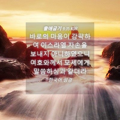 Picture 04 - 출애굽기 9:35 KOR - 바로의 마음이 강퍅하여 이스라엘 - Bible Verse Picture