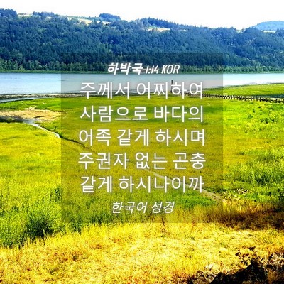 Picture 04 - 하박국 1:14 KOR - 주께서 어찌하여 사람으로 바다의 - Bible Verse Picture