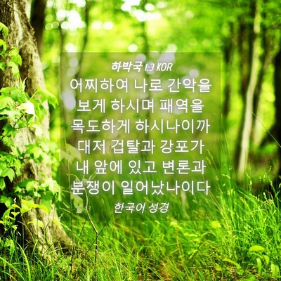 Picture 04 - 하박국 1:3 KOR - 어찌하여 나로 간악을 보게 하시며 - Bible Verse Picture