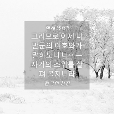Picture 04 - 학개 1:5 KOR - 그러므로 이제 나 만군의 여호와가 - Bible Verse Picture