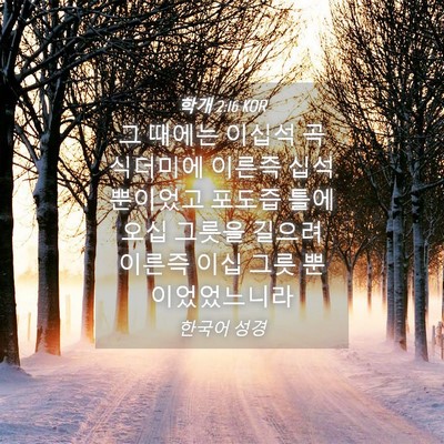 Picture 04 - 학개 2:16 KOR - 그 때에는 이십석 곡식더미에 이른즉 - Bible Verse Picture
