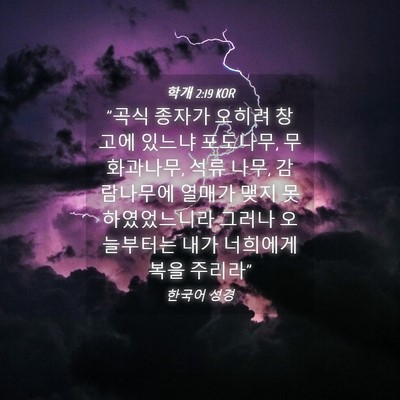 Picture 04 - 학개 2:19 KOR - 