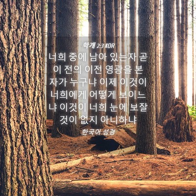 Picture 04 - 학개 2:3 KOR - 너희 중에 남아 있는자 곧 이 전의 - Bible Verse Picture