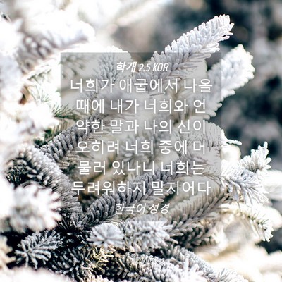 Picture 04 - 학개 2:5 KOR - 너희가 애굽에서 나올 때에 내가 - Bible Verse Picture