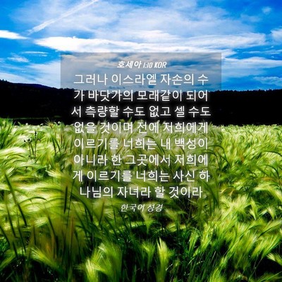 Picture 04 - 호세아 1:10 KOR - 그러나 이스라엘 자손의 수가 - Bible Verse Picture