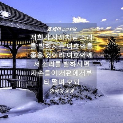 Picture 04 - 호세아 11:10 KOR - 저희가 사자처럼 소리를 발하시는 - Bible Verse Picture