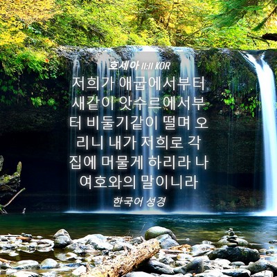 Picture 04 - 호세아 11:11 KOR - 저희가 애굽에서부터 새같이 - Bible Verse Picture