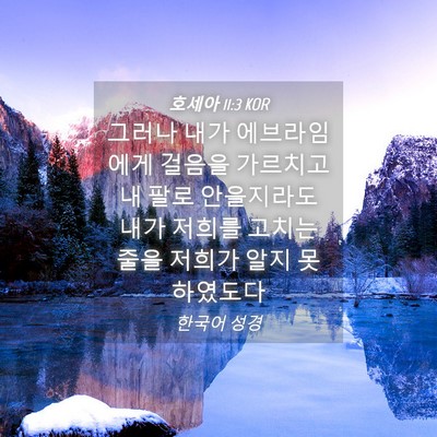 Picture 04 - 호세아 11:3 KOR - 그러나 내가 에브라임에게 걸음을 - Bible Verse Picture