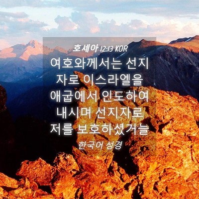 Picture 04 - 호세아 12:13 KOR - 여호와께서는 선지자로 이스라엘을 - Bible Verse Picture