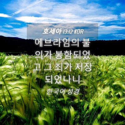 Picture 04 - 호세아 13:12 KOR - 에브라임의 불의가 봉함되었고 그 - Bible Verse Picture