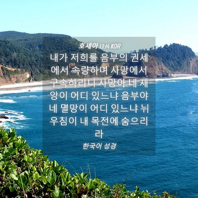 Picture 04 - 호세아 13:14 KOR - 내가 저희를 음부의 권세에서 - Bible Verse Picture