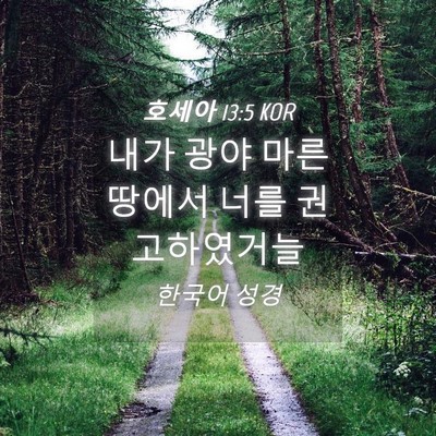 Picture 04 - 호세아 13:5 KOR - 내가 광야 마른 땅에서 너를 - Bible Verse Picture