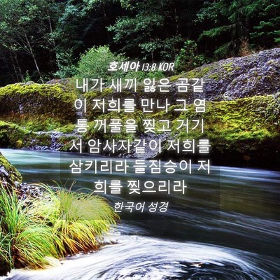 Picture 04 - 호세아 13:8 KOR - 내가 새끼 잃은 곰같이 저희를 만나 - Bible Verse Picture