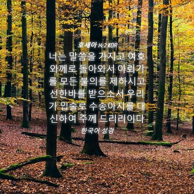 Picture 04 - 호세아 14:2 KOR - 너는 말씀을 가지고 여호와께로 - Bible Verse Picture