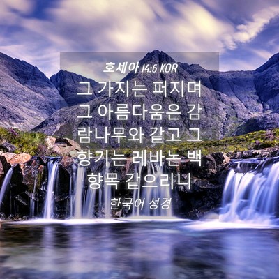 Picture 04 - 호세아 14:6 KOR - 그 가지는 퍼지며 그 아름다움은 - Bible Verse Picture