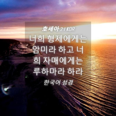 Picture 04 - 호세아 2:1 KOR - 너희 형제에게는 암미라 하고 너희 - Bible Verse Picture