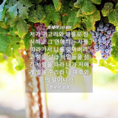 Picture 04 - 호세아 2:13 KOR - 저가 귀고리와 패물로 장식하고 그 - Bible Verse Picture