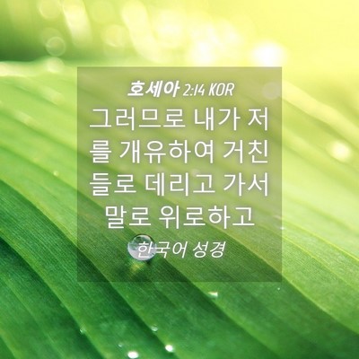 Picture 04 - 호세아 2:14 KOR - 그러므로 내가 저를 개유하여 거친 - Bible Verse Picture