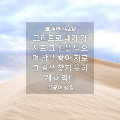Picture 04 - 호세아 2:6 KOR - 그러므로 내가 가시로 그 길을 - Bible Verse Picture