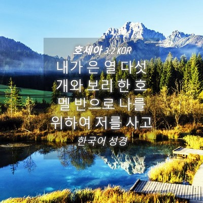 Picture 04 - 호세아 3:2 KOR - 내가 은 열 다섯 개와 보리 한 호멜 - Bible Verse Picture