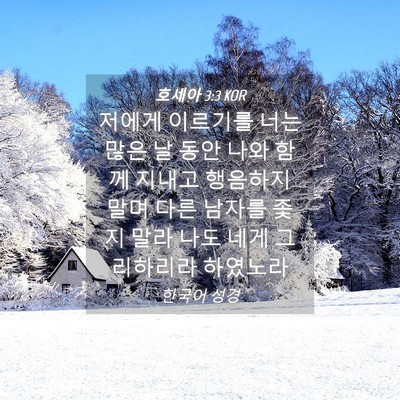 Picture 04 - 호세아 3:3 KOR - 저에게 이르기를 너는 많은 날 동안 - Bible Verse Picture