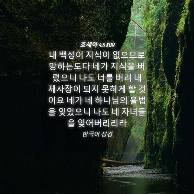 Picture 04 - 호세아 4:6 KOR - 내 백성이 지식이 없으므로 - Bible Verse Picture
