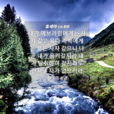Picture 04 - 호세아 5:14 KOR - 내가 에브라임에게는 사자 같고 유다 - Bible Verse Picture