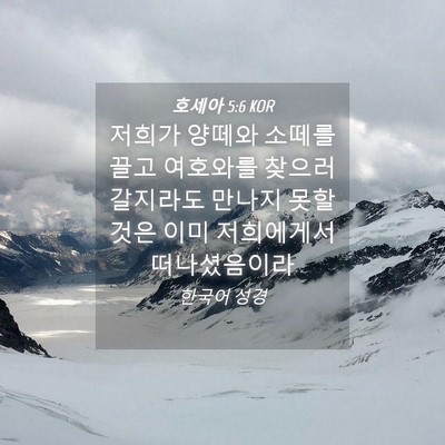 Picture 04 - 호세아 5:6 KOR - 저희가 양떼와 소떼를 끌고 여호와를 - Bible Verse Picture