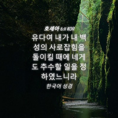 Picture 04 - 호세아 6:11 KOR - 유다여 내가 내 백성의 사로잡힘을 - Bible Verse Picture