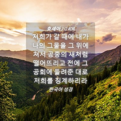 Picture 04 - 호세아 7:12 KOR - 저희가 갈 때에 내가 나의 그물을 그 - Bible Verse Picture