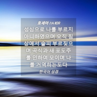 Picture 04 - 호세아 7:14 KOR - 성심으로 나를 부르지 아니하였으며 - Bible Verse Picture