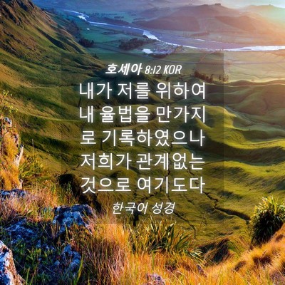 Picture 04 - 호세아 8:12 KOR - 내가 저를 위하여 내 율법을 - Bible Verse Picture