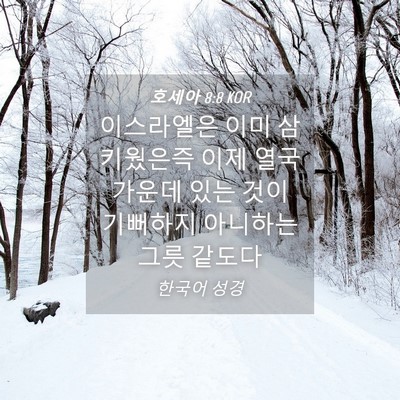 Picture 04 - 호세아 8:8 KOR - 이스라엘은 이미 삼키웠은즉 이제 - Bible Verse Picture