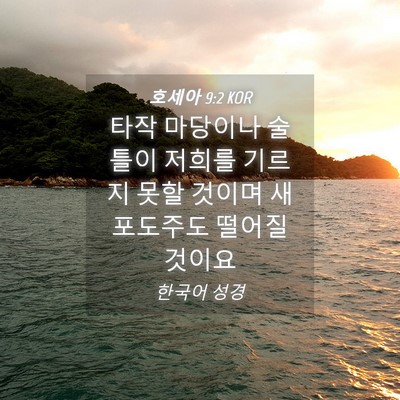 Picture 04 - 호세아 9:2 KOR - 타작 마당이나 술 틀이 저희를 - Bible Verse Picture