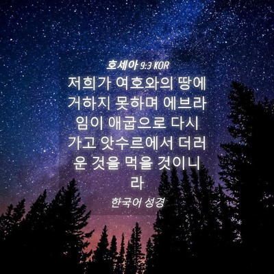 Picture 04 - 호세아 9:3 KOR - 저희가 여호와의 땅에 거하지 못하며 - Bible Verse Picture