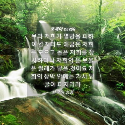 Picture 04 - 호세아 9:6 KOR - 보라 저희가 멸망을 피하여 갈지라도 - Bible Verse Picture